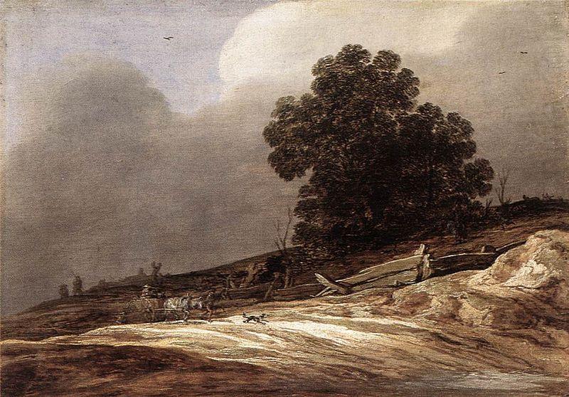 Dunes, Pieter de Molijn